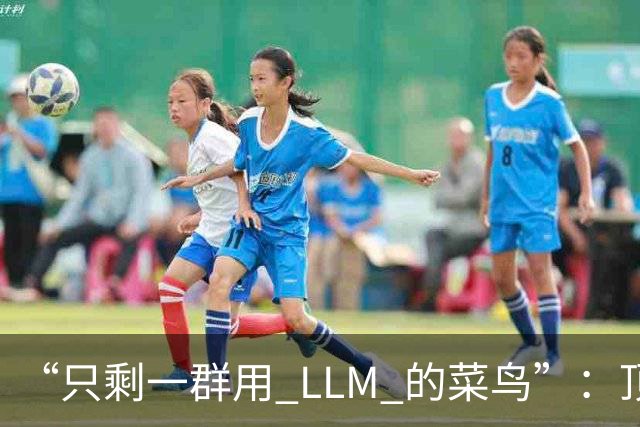 “只剩一群用 LLM 的菜鸟”：顶级黑客怒退 PS5 Linux 项目，几个月心血全打水漂