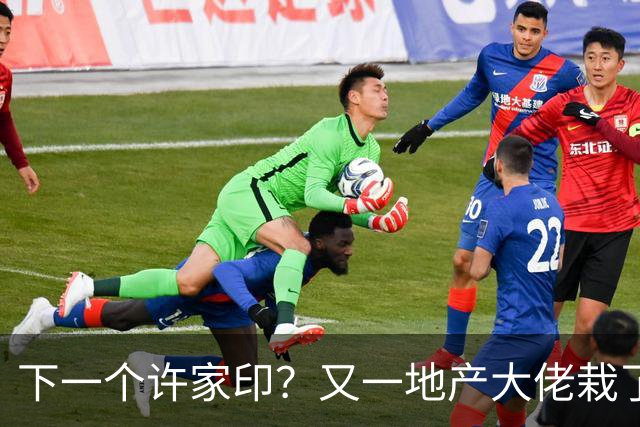 下一个许家印？又一地产大佬栽了，涉案超200亿 已被正式立案调查