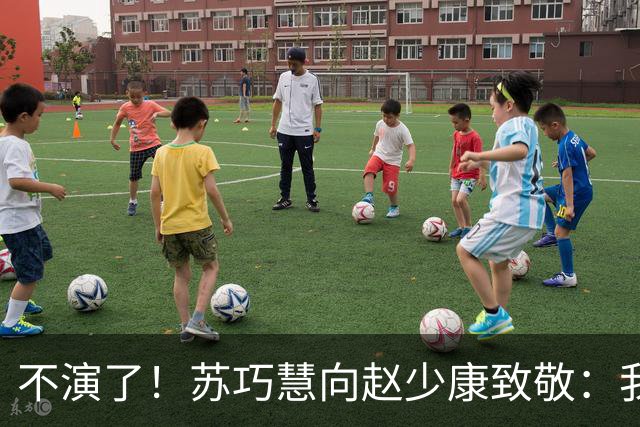 不演了！苏巧慧向赵少康致敬：我是最新的时代、最好的选择