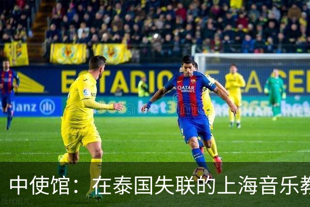 中使馆：在泰国失联的上海音乐教师已安全回国