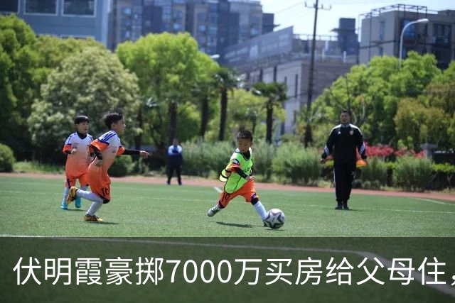 伏明霞豪掷7000万买房给父母住，被曝将接双亲到港生活，丈夫出资