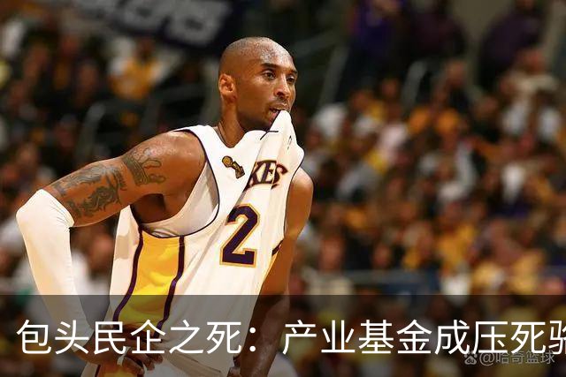包头民企之死：产业基金成压死骆驼的稻草
