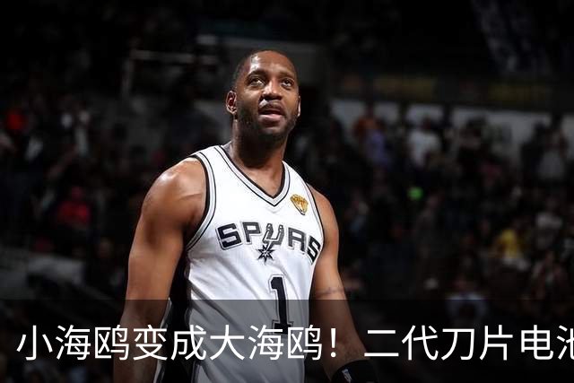小海鸥变成大海鸥！二代刀片电池+闪充，电机95千瓦，续航420公里