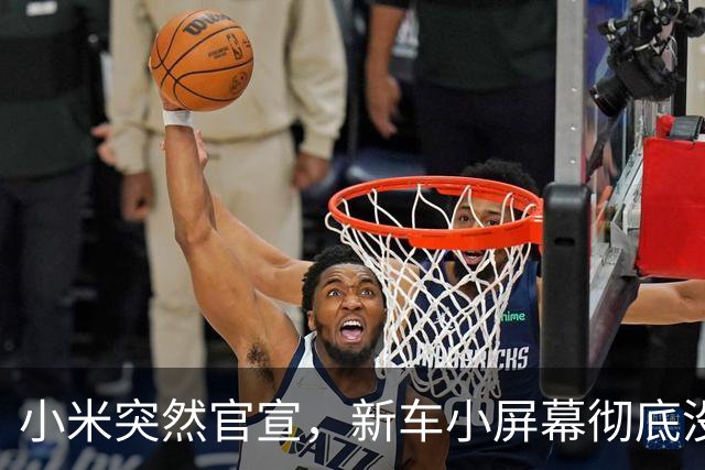 小米突然官宣，新车小屏幕彻底没了！网友吵翻了