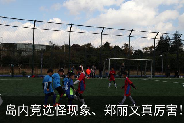 岛内竞选怪现象、郑丽文真厉害！“反郑联盟”摊牌，卢秀燕尴尬了