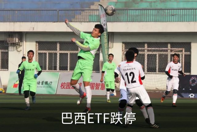 巴西ETF跌停