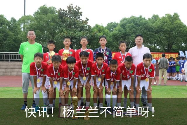 快讯！杨兰兰不简单呀！