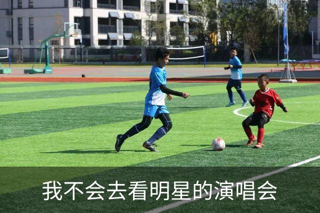 我不会去看明星的演唱会