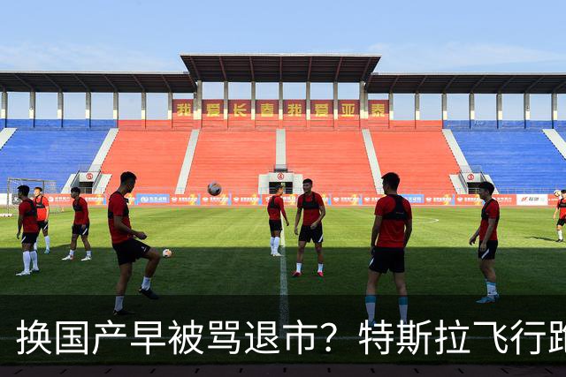 换国产早被骂退市？特斯拉飞行跑车吵翻全网