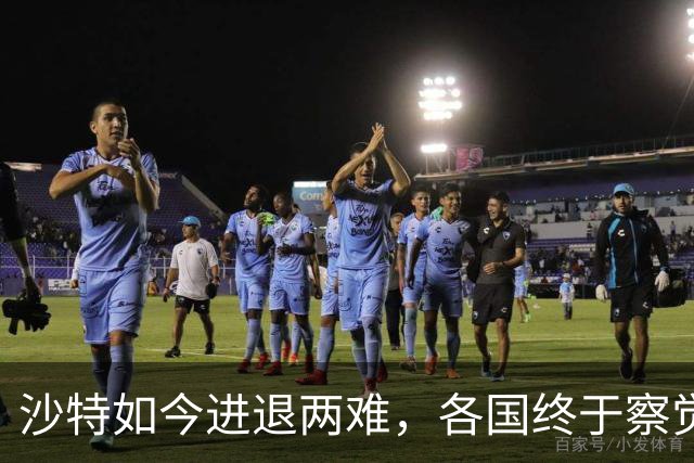 沙特如今进退两难，各国终于察觉到不对头，原来中方早有预见