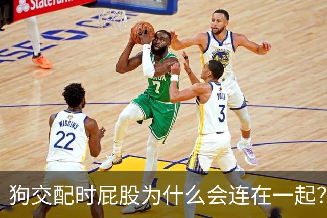 狗交配时屁股为什么会连在一起？是母狗不让，还是公狗不想？
