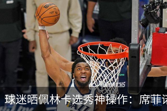 球迷晒佩林卡选秀神操作：席菲诺、克内克特、布朗尼、刘易斯