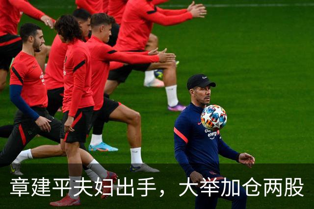 章建平夫妇出手，大举加仓两股