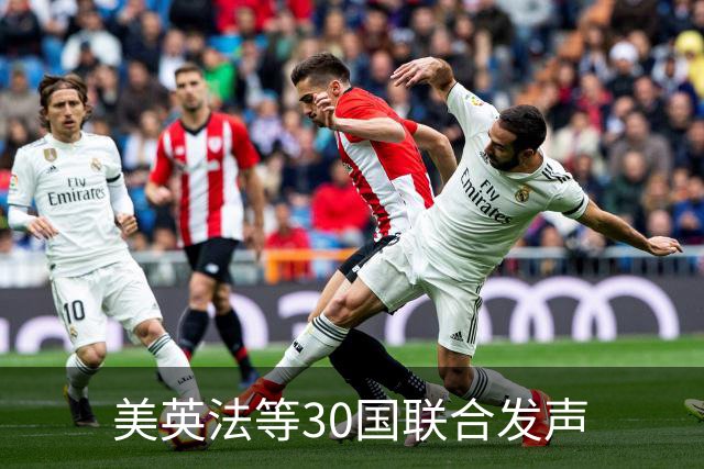 美英法等30国联合发声