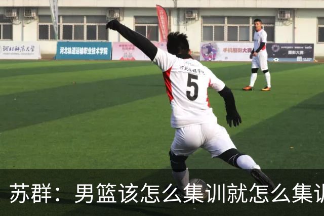 苏群：男篮该怎么集训就怎么集训不会变 世界杯前两三个月不会少