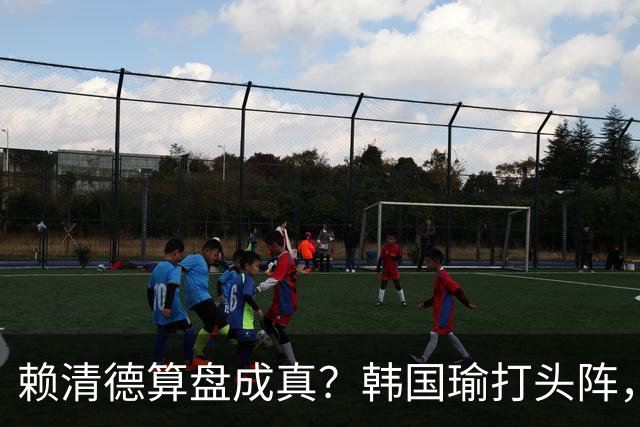 赖清德算盘成真？韩国瑜打头阵，卢秀燕站队，洪秀柱罕见没喊统一