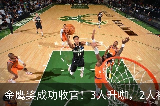 金鹰奖成功收官！3人升咖，2人被骂，1人颗粒无收，他最可怜