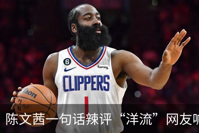 陈文茜一句话辣评“洋流”网友喊话：劝劝老朋友赵少康别再内斗