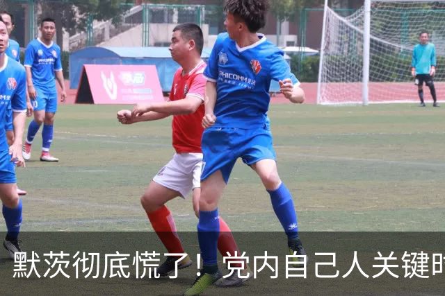 默茨彻底慌了！党内自己人关键时刻反水，魏德尔优势暴增