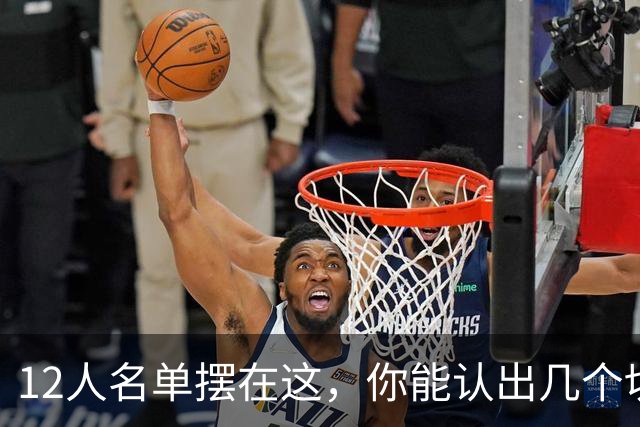 12人名单摆在这，你能认出几个切尔西埃弗顿双料旧将？